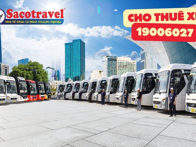 Tour Tết Miền Bắc 2026: Đón Tết Cùng Saco Travel 6