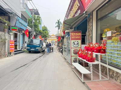 Bán gấp 74m đất thôn chi đông 2, xã quang minh, tp hn. cách 500m tiện ích bạt ngàn 2