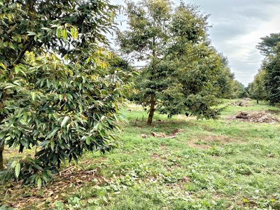 Cơ hội vàng đầu tư   đất mặt tiền tp.hcm  brvt cũ 2