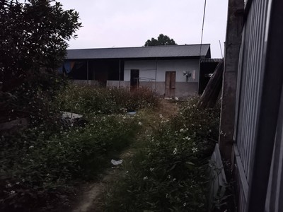 Đất ruộng sxln 2000m2, mt35m, lô góc, 5 tr/m2, xuân nộn, đông anh, có thương lượng. 2