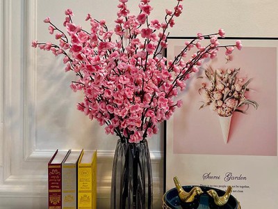 Nhà kế quận 7   mt hẻm thông   ô tô ngủ trong nhà   full nội thất 2