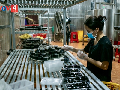 Thạch đen Thạch An   Cơ hội đầu tư từ cây trồng đặc sản Cao Bằng 0