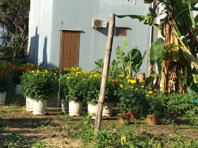 Chỉ 4.x  đ  - gần làng đại học - sát võ chí công - dt 90m - đ.5m5. 1