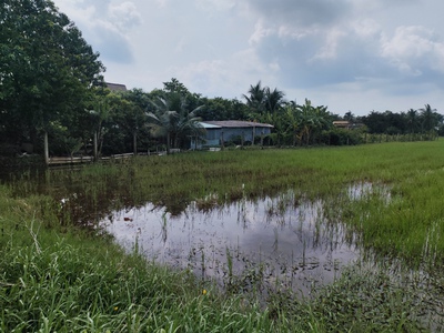 Bán lô đất lúa chuyển thổ mặt tiền dh25 giá 6 tỷ 4