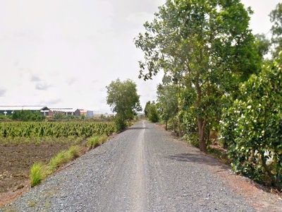 Cần bán 10.000m2 đất vườn mt đường kênh xe hơi 0