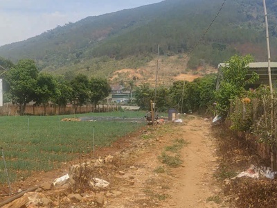 Tổng 4200m2 đất mặt tiền ql20, hiệp an đức trọng, lâm đồng 5