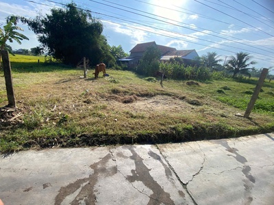  Bán đất thôn Phong Ấp, xã Tân Định, Ninh Hòa, Khánh Hòa 2