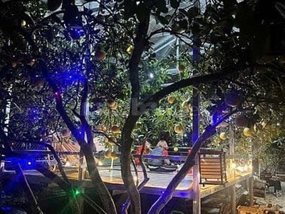 Bán đất vườn 300m2 có sẵn nhà cấp 4 ở được, tại Cầu Noi, Cổ Nhuế, Bắc Từ Liêm, giá 9tr/m2 3