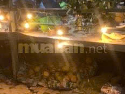 Bán đất vườn 300m2 có sẵn nhà cấp 4 ở được, tại Cầu Noi, Cổ Nhuế, Bắc Từ Liêm, giá 9tr/m2 6