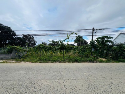 Bán nhanh đất diên bình, diên khánh, khánh hòa - mặt tiền view sông - giá chỉ 1 tỷ 379 3