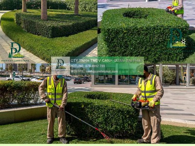 Dịch vụ cắt cỏ   cắt tỉa cây xanh định kỳ giá rẻ KCN Long Đức, Đồng Nai 1