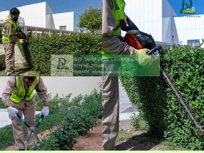 Dịch vụ cắt cỏ   cắt tỉa cây xanh định kỳ giá rẻ KCN Long Đức, Đồng Nai 3