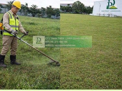Dịch vụ cắt cỏ   cắt tỉa cây xanh định kỳ giá rẻ KCN Long Đức, Đồng Nai 4