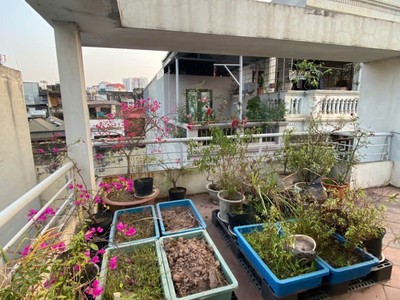 Ngọc lâm   nhà diện tích lớn   view công viên   19.99 tỷ - 80m    mặt tiền 5.4m   4 tầng   hàng 3