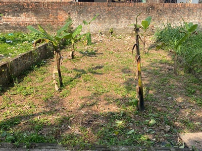 Muốn bán nhanh 41m đất gần hồ tại cực nam - liên minh - hà nội 1