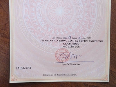 Chủ cần tiền sắm tết bán nhanh lô đất giá đẹp . 1