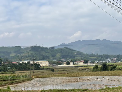 Chủ cần tiền sắm tết bán nhanh lô đất giá đẹp . 4