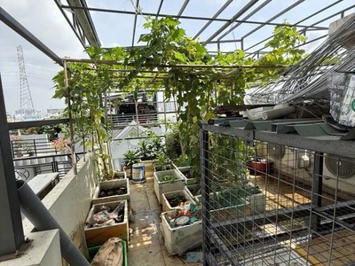 Nhà 4 tầng quận 7 50m ra huỳnh tấn phát - chào 6ty hơn xíu 2