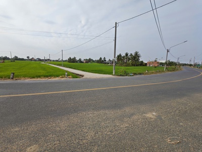 Bán gấp lô đất lúa gần trục động lực giá 1,2 tỷ 2