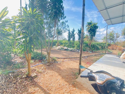 Bán 4 sào phú hội pre, đức trọng, lâm đồng, nhà c4, điện nước đầy đủ 2