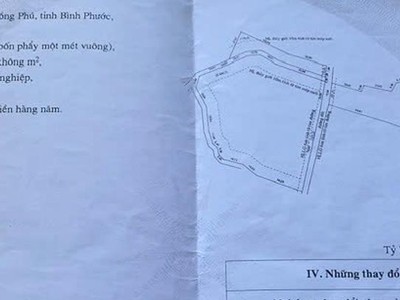 Bán đất sản xuất TÂN PHƯỚC, ĐỒNG PHÚ 16.954m2 0