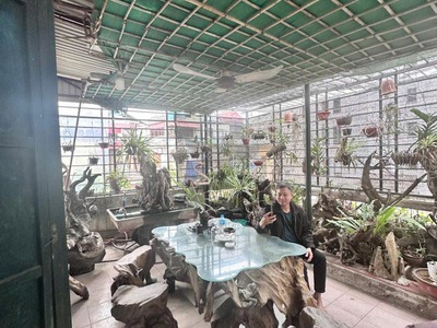 Thịnh quang 114m chỉ 17 tỷ, 2 thoáng, ngõ rộng, chia lô, sổ vuông 3