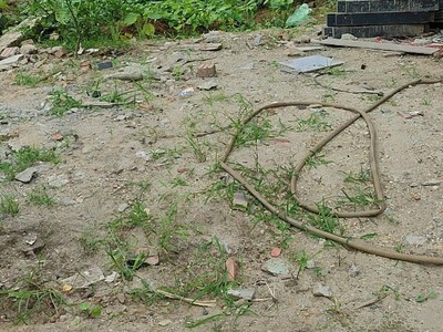 Bán gấp 56m2 đất tây tựu, cách ô tô tránh 20m, giá đầu tư chỉ 7.3 tỷ, xây ccmn ngon 1