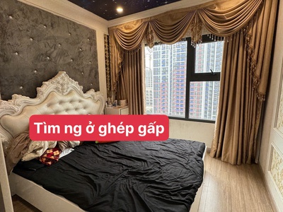 Tìm người ở ghép tại vinhomes smart city tây mỗ, nam từ liêm, hà nội 0