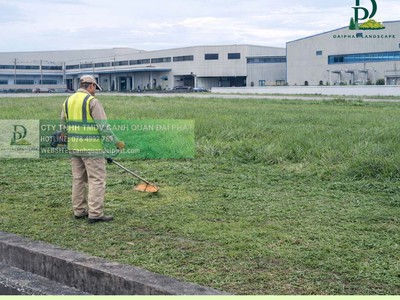 Dịch vụ cắt cỏ, dọn dẹp cảnh quan công ty, nhà xưởng tại Đồng Nai 0