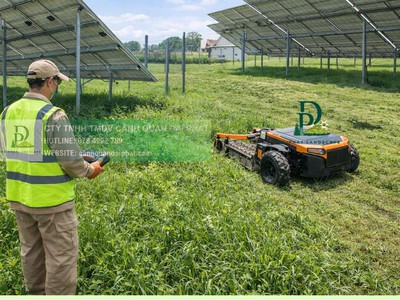 Dịch vụ cắt cỏ, dọn dẹp cảnh quan công ty, nhà xưởng tại Đồng Nai 3