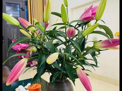 Chính chủ bán gấp nhà 3 tầng, 70m2 tại khu bông vải sợi, lai xá, hoài đức - cách đh công nghiệp 1km 3