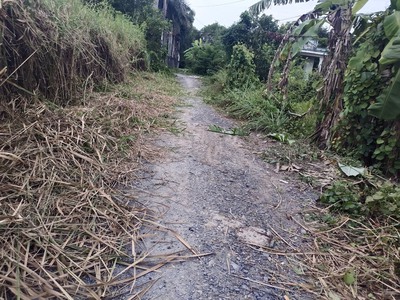 Cần bán 237m2 đất vườn lên đc thổ cư hẻm xe hơi 0