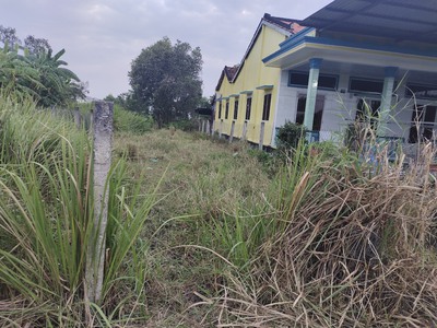 Cần bán 237m2 đất vườn lên đc thổ cư hẻm xe hơi 1