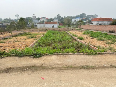 Cực hiếm, cơ hội có một không hai, sở hữu 37m đất tổ 9, quang minh chỉ với 1,95 tỷ 1