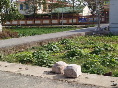 Đất đẹp   giá đầu tư  - cần bán lô đất vị trí đẹp tại xã diễn phúc - huyện diễn châu - tỉnh nghệ an 1