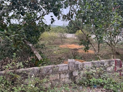 Đất chính chủ- giá tốt cần bán nhanh lô đất đầu tư sinh lời tại huyện nho quan tỉnh ninh bình 2