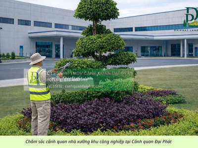 Cắt cỏ, cắt tỉa, vệ sinh cảnh quan nhà máy và KCN Đồng Nai 2
