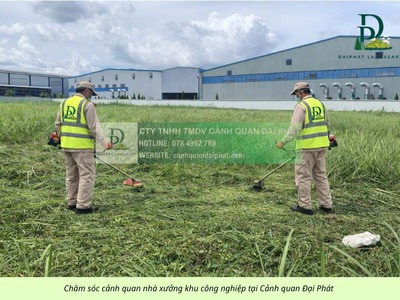 Cắt cỏ, cắt tỉa, vệ sinh cảnh quan nhà máy và KCN Đồng Nai 6