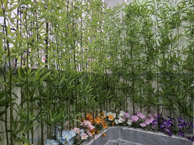 Bán nhà 100m2 ngõ 65 phố Đào Tấn, gần Lotte, công viên Thủ Lệ, sổ đỏ chính chủ 3