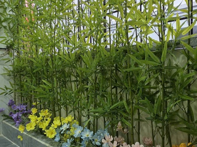 Bán nhà 100m2 ngõ 65 phố Đào Tấn, gần Lotte, công viên Thủ Lệ, sổ đỏ chính chủ 7