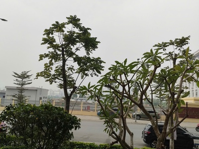 Bán gấp giá rẻ cc complex 48 ngọc hồi 71m, tầng 30, mặt tiền 5m, 5.29 tỷ hoàng mai. 1