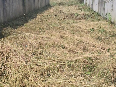 1000mv 90tc mặt tiền châu pha bà rịa đã xây tường rào bao quanh 4