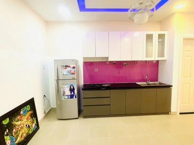 Chính chủ cho thuê căn hộ   trung tâm q. tân phú, tphcm 2