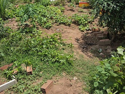 Đất đẹp -  giá tốt  - cần bán gấp lô đất vị trí đẹp tại xã vĩnh lộc a, bình chánh, hcm 3