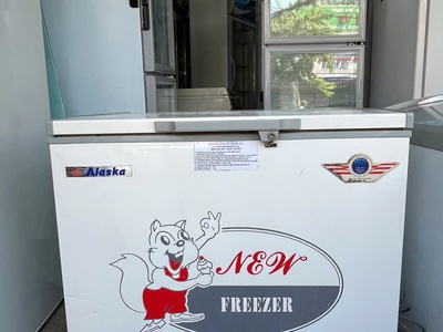 Thanh lý tủ đông alaska bd-300   300 lít   máy chạy êm, còn đẹp 0