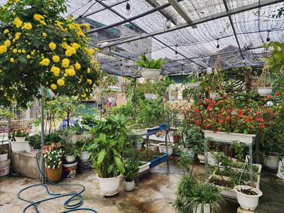 Bán nhà Tập thể Kim Ngưu, 3 ngủ, 1 khách, 2WC, có sân vườn rộng rãi, nhà nội thất rất đẹp. 6