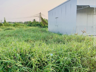 Bán đất thổ cư 124,4m  xã thanh vĩnh đông, châu thành, long an sổ hồng riêng 4