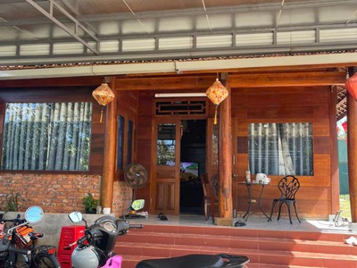 Chủ ngợp - giảm giá bán nhanh trước tết nhà vườn -  buôn ma thuột tỉnh đắk lắk 1