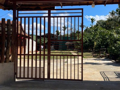 Chủ ngợp - giảm giá bán nhanh trước tết nhà vườn -  buôn ma thuột tỉnh đắk lắk 3