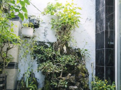 Hàng hiếm - nhà phố huỳnh tấn phát, phú thuận, quận 7   giá cực hiếm 6,2 tỷ 4